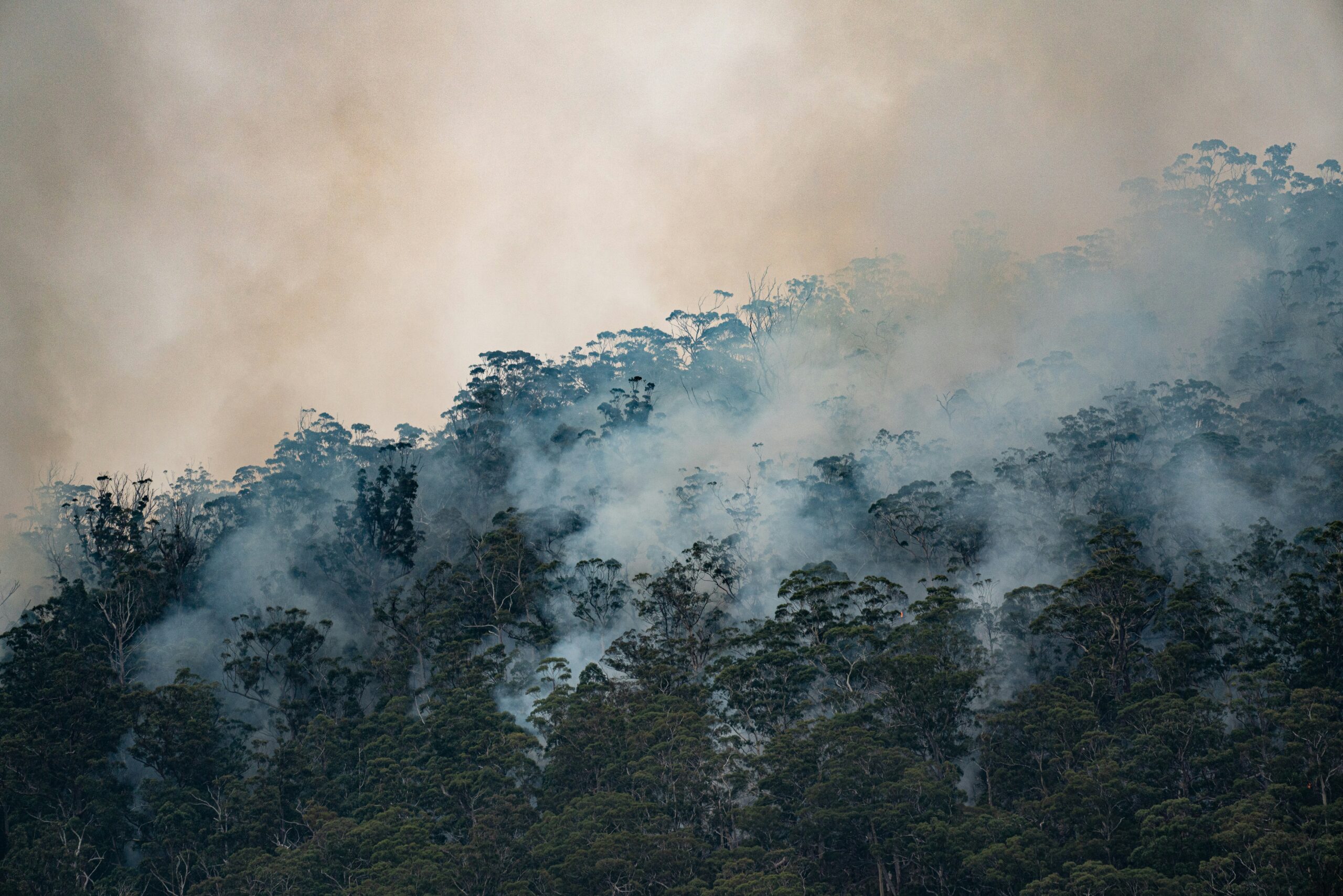 Loss and Damage Funding and Vanuatu’s ICJ Initiative: Parallel Processes Relevant to Climate Obligations under International Law
