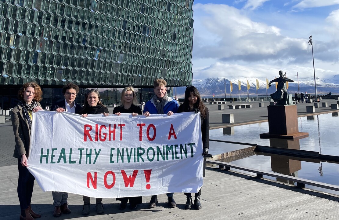 Recognizing the Right to a Healthy Environment at the Council of Europe: Why it matters
