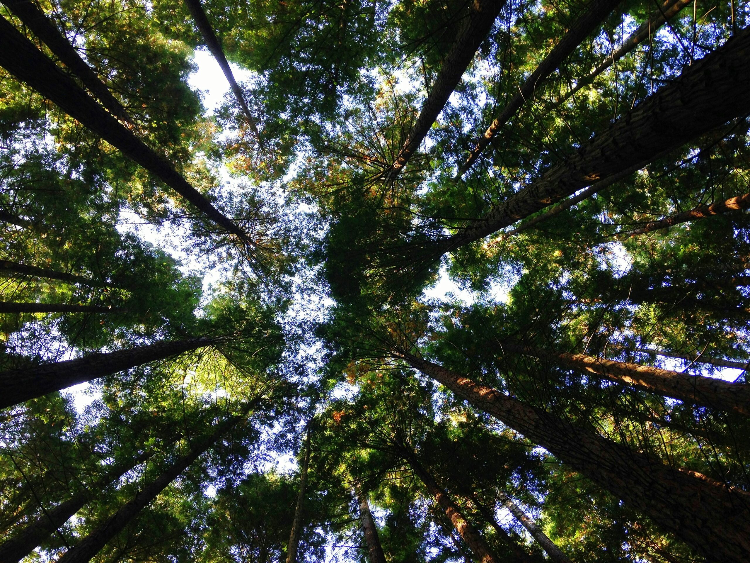 Can the Right to A Healthy Environment Remedy the Chronic TSD Enforcement Problem?