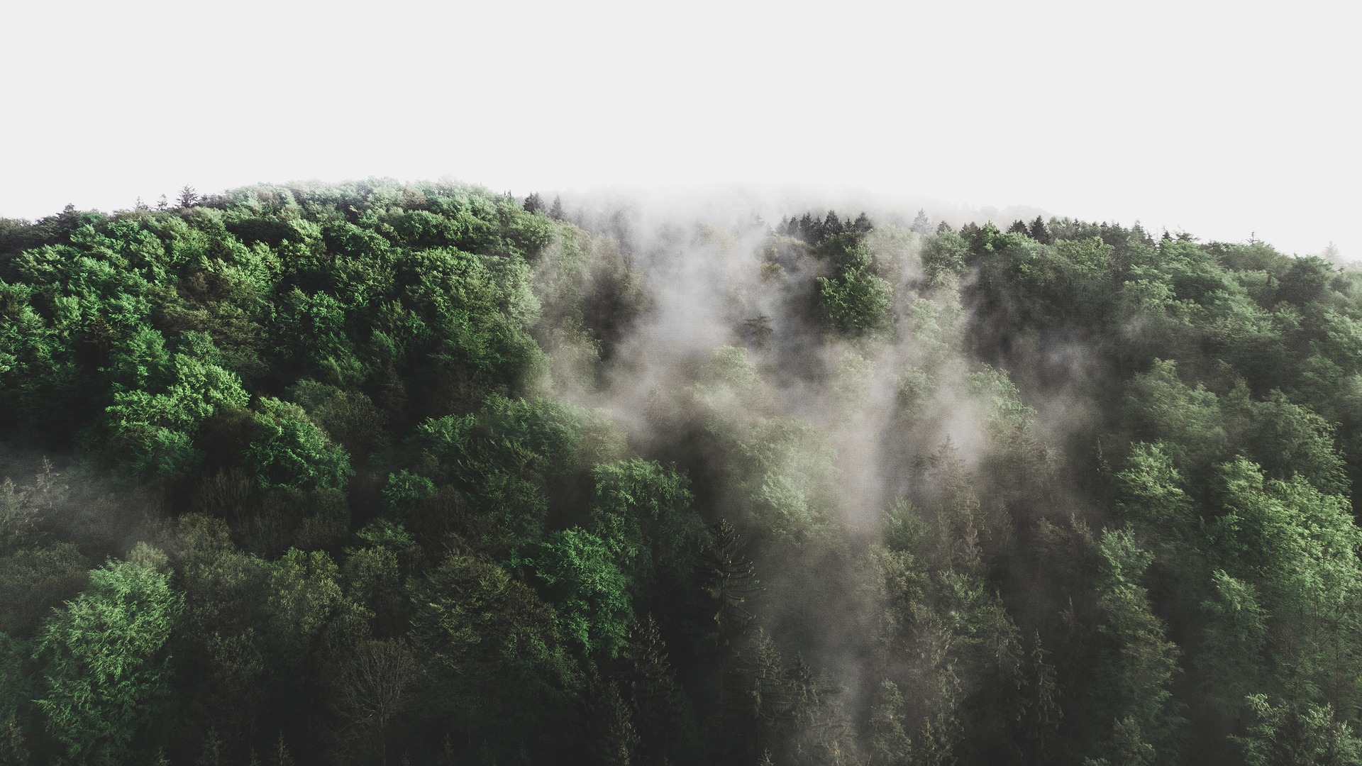 Slouching towards Strasbourg? Recognizing the Right to a Healthy Environment at the Council of Europe