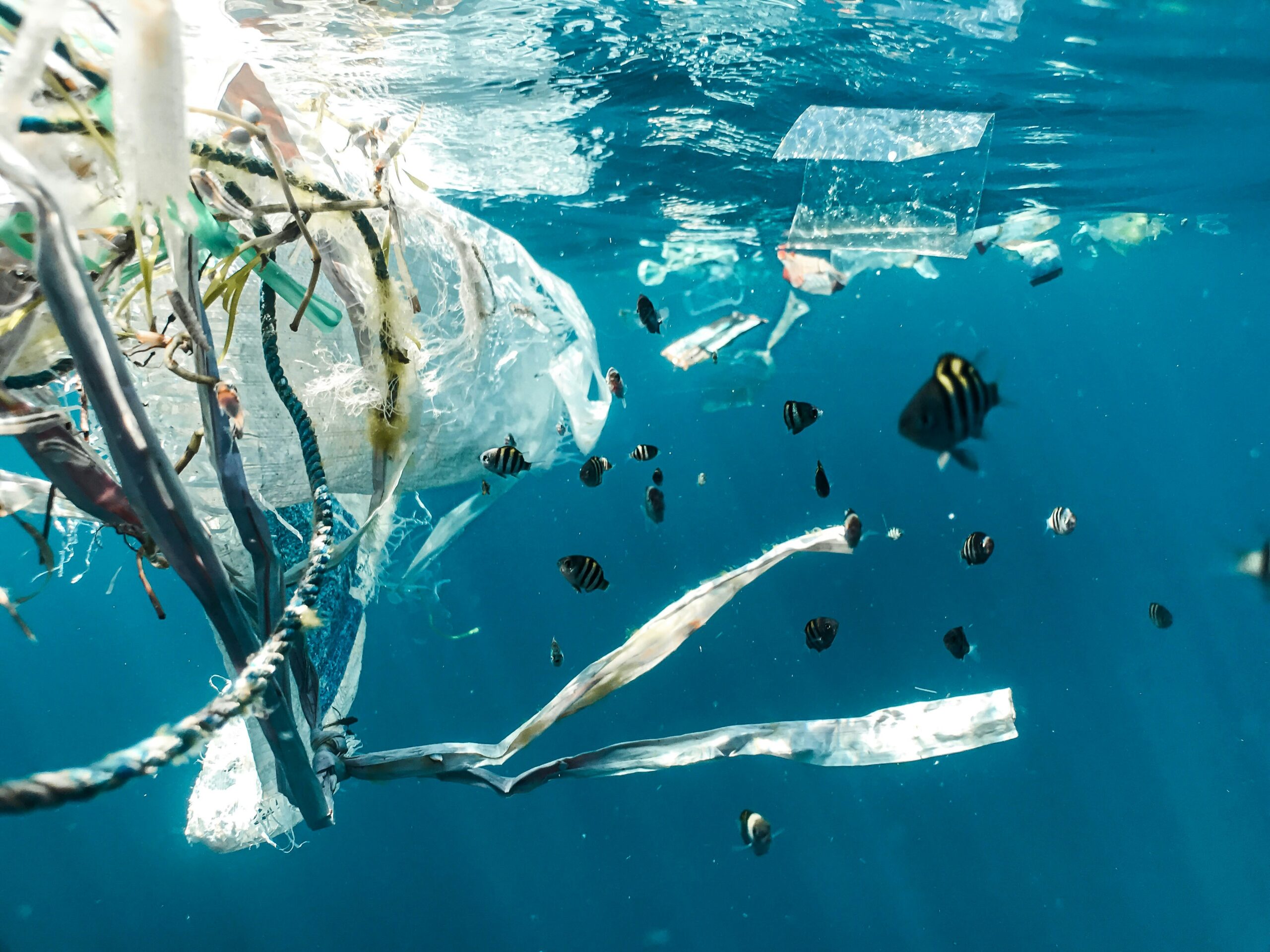 Environmental Justice and the Law – A Student Blog Symposium
