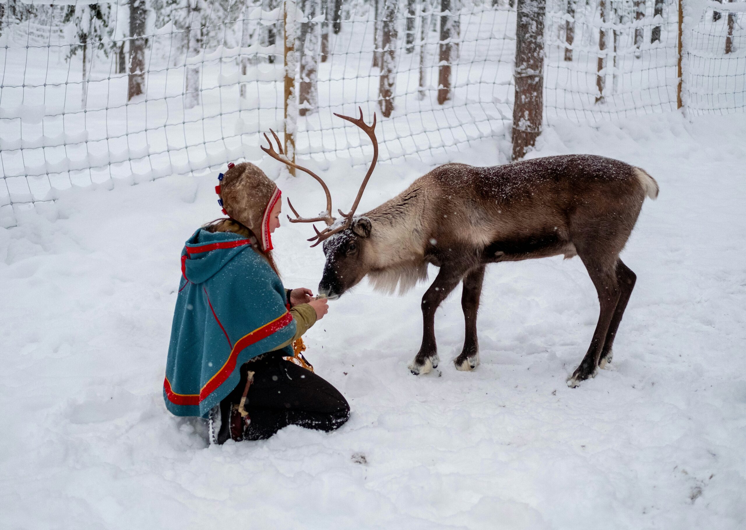 Shadows over the Arctic: Legal Battles for Indigenous Environmental Justice in Norway