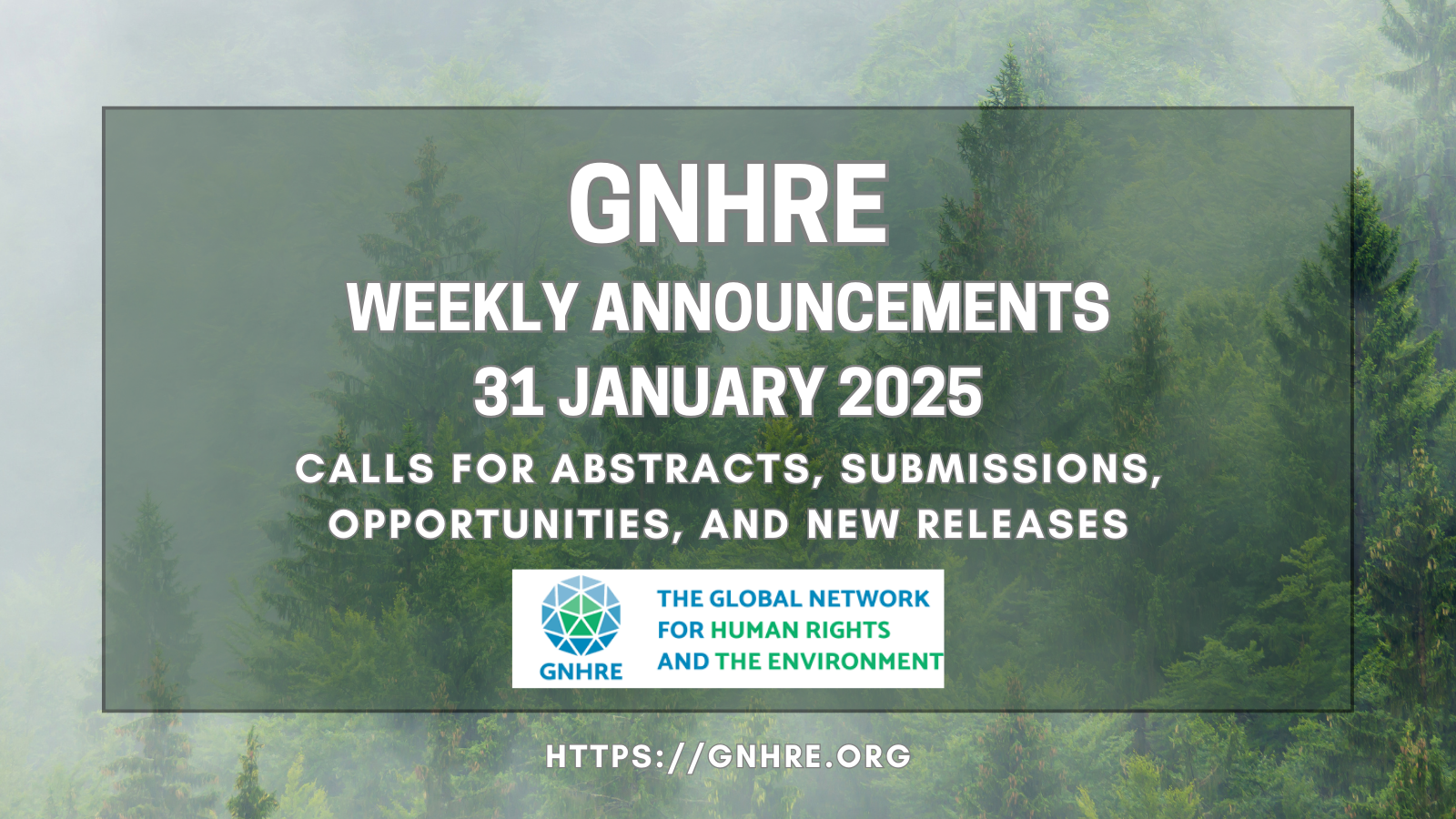 Announcements: 31 January 2025