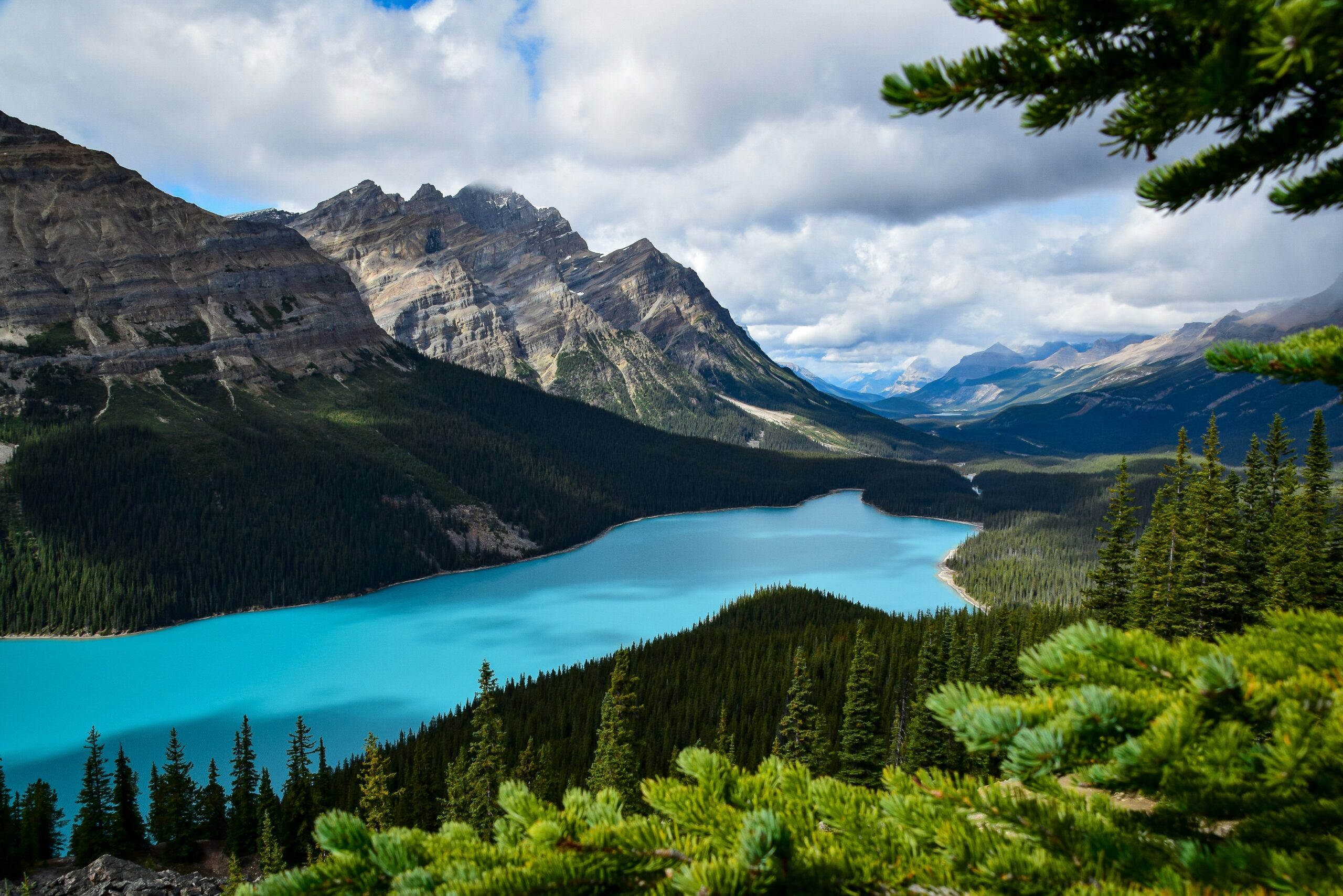 Supporting Procedural Environmental Human Rights in Canada: a role for the National Contact Point for the OECD Guidelines?