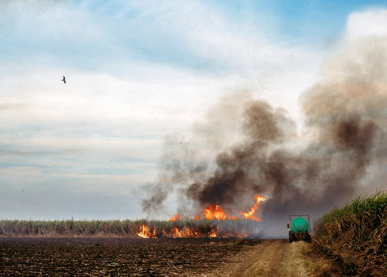 When Sugar Burns, Black Snow Falls:  Legal Complicity and Environmental Racism in Florida’s Sugarcane Industry.